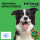 Energique - Nr.1  12 kg für ERWACHSENE Hunde Alleinfutter