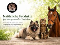 Weiß-Premium Lachsöl 2,5 L Kanister