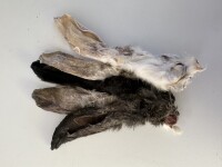 Weiß Premium Hasenohren mit Fell 100g deutsche Ware