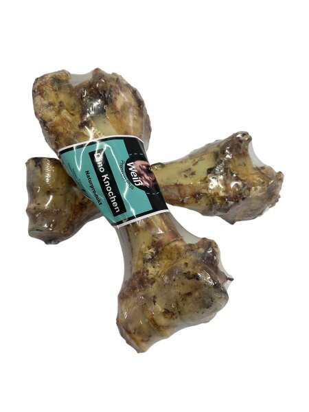 Weiß-Premium Dinoknochen