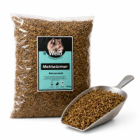 Weiß-Premium Mehlwürmer getrocknet 100g