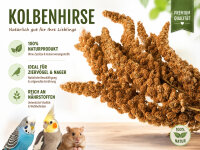 Weiß-Premium 1 kg ROTE KOLBENHIRSE Premium...