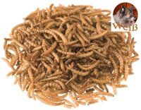 Weiß-Premium 1 kg MEHLWÜRMER getrocknet...