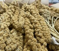 Weiß-Premium 1 kg  GELBE KOLBENHIRSE Premium...