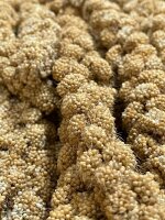 Weiß-Premium 1 kg  GELBE KOLBENHIRSE Premium...