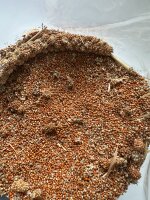 Weiß-Premium 3 x 1 kg LOSE ROTE KOLBENHIRSE Premium...