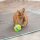 Trixie Spiel- und Snackball aus Holz - 7,5 cm
