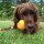 New Angle Mystery Ball Belohnungsspielzeug
