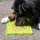 PROCYON Ladi Mat Schleckplatte Small