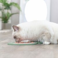 Trixie LicknSnack Matte Fisch für Katzen