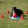 PROCYON Dog Golf Set