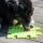 PROCYON Ladi Mat Schleckplatte Puzzle