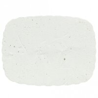 Trixie Pickstein mit Muscheln - 200 g