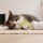 EBI Cat Toy Double Spinner - weiß/grün