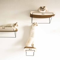 D&D gebogenes Wandregal aus Pappe David - braun/beige