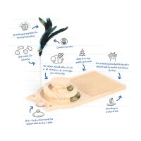 Duvoplus Cat Toy Spin & Scratch