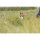 Trixie Soft & Strong Ball am Gurt - 27 cm