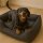Duvoplus Hundebett Duratex - dunkelgrau - 120x80x25cm
