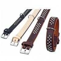 Karlie Rondo Halsband unterlegt mit Rundkopfnieten -...