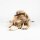 D&D Hundespielzeug Jule - sand - 52x10x10cm